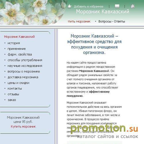 Архивное изображение: Морозник Кавказский