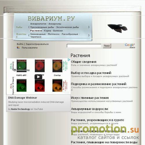 Архивное изображение: Подкормка и размножение растений на Vivarium.Ru
