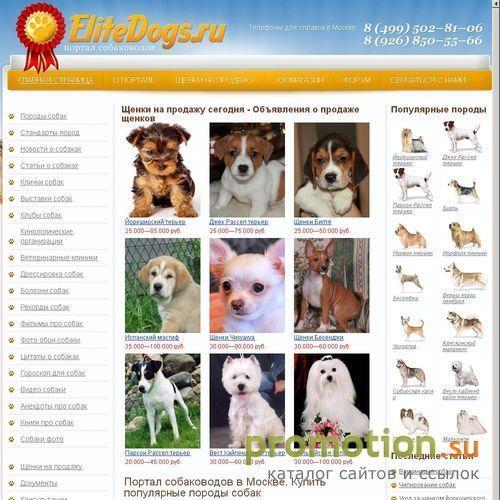 Архивное изображение: Elitedogs - элитные породы собак