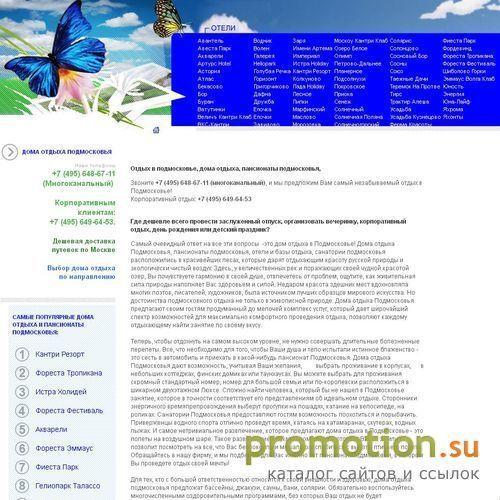 Архивное изображение: Новый год в Подмосковье