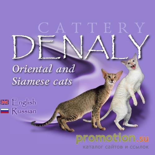 Архивное изображение: DENALY питомник: ориентальные и сиамские кошки