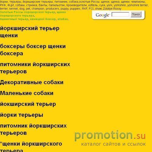 Архивное изображение: Йоркширские терьеры питомника «Золотые Россы»
