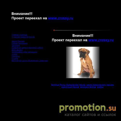 Архивное изображение: Немецкий боксер питомник «Золотые Россы» ркф