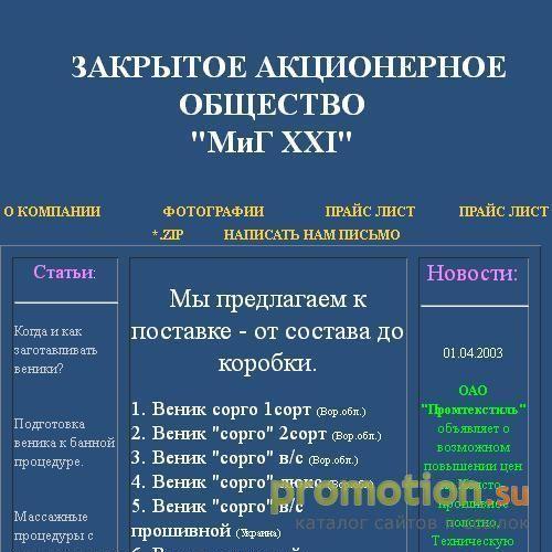 Архивное изображение: Веники в Воронеже