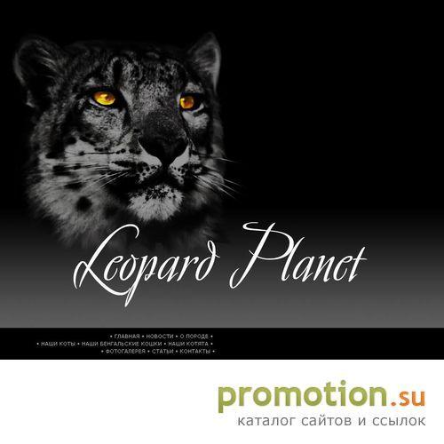 Архивное изображение: Продажа бенгальских котят в России и Украине