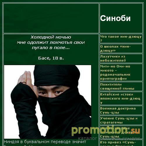 Архивное изображение: Все о ниндзя