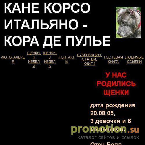 Архивное изображение: Кане корсо - Кора де Пулье - щенки