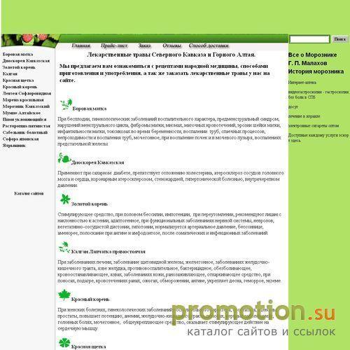 Архивное изображение: Боровая матка ,Красная щетка